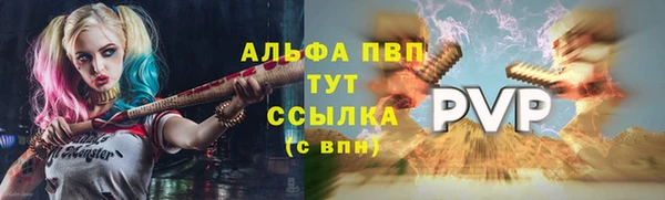 PSILOCYBIN Костерёво