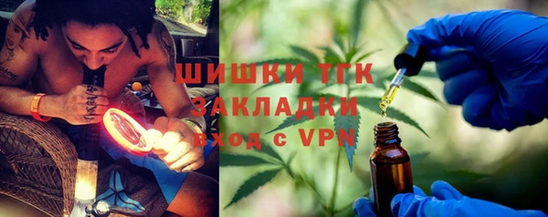 PSILOCYBIN Костерёво