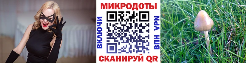 Купить где  Бикин  Псилоцибиновые грибы Psilocybine cubensis 